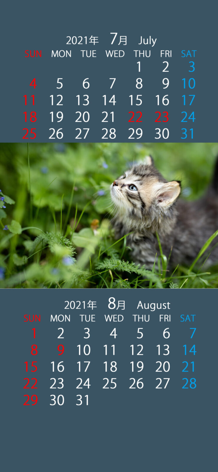 24種類のスマホ用カレンダー壁紙 21年7月 8月 かわいい猫シリーズ無料 まなびっと