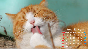 カレンダー壁紙 21年8月 Pc用複数サイズ無料 動物 風景 建造物など まなびっと カレンダー壁紙 21年8月 Pc用複数サイズ無料 動物 風景 建造物など まなびっと