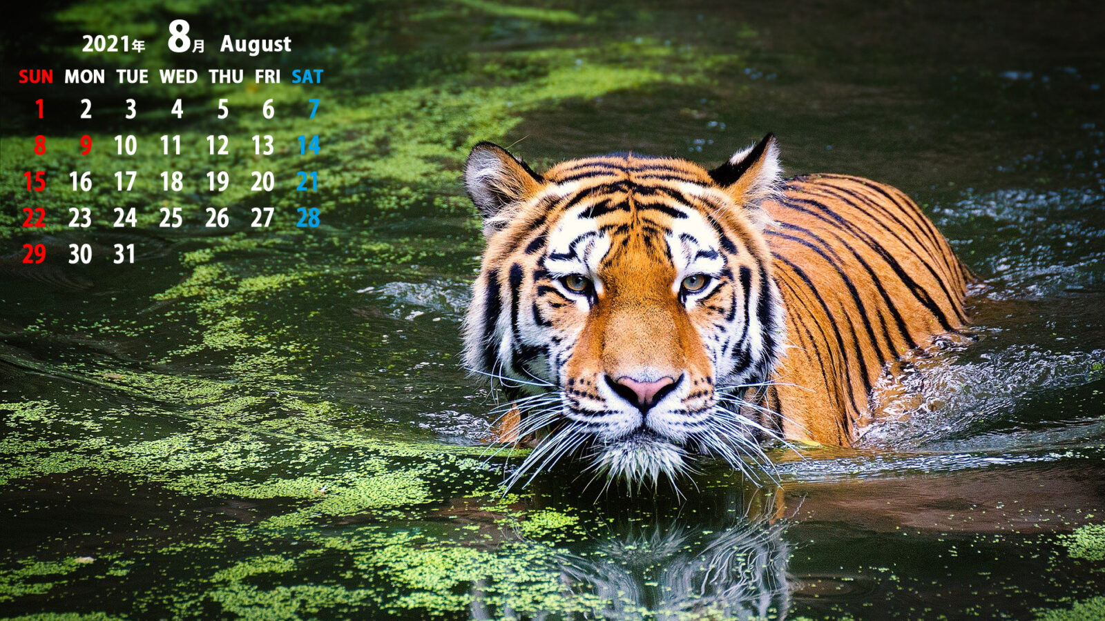 カレンダー壁紙 21年8月 Pc用複数サイズ無料 動物 風景 建造物など まなびっと