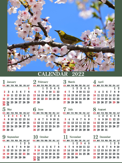 1年カレンダー（2022年･令和4年）写真入り［サクラとメジロ］（400px）