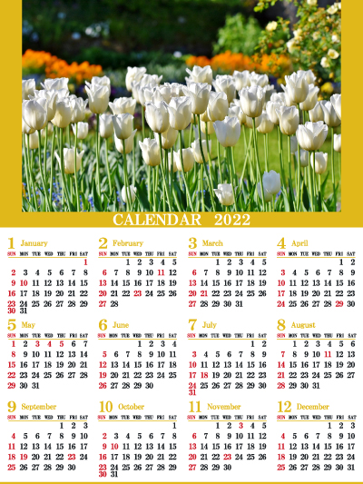 1年カレンダー（2022年･令和4年）写真入り［チューリップ畑2］（400px）