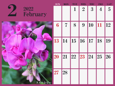 2022年2月シンプルカレンダー（スイートピー）（400px）
