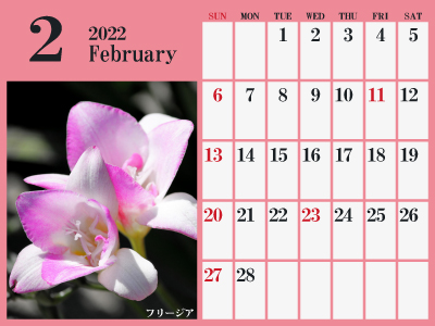 2022年2月シンプルカレンダー（フリージア）（400px）