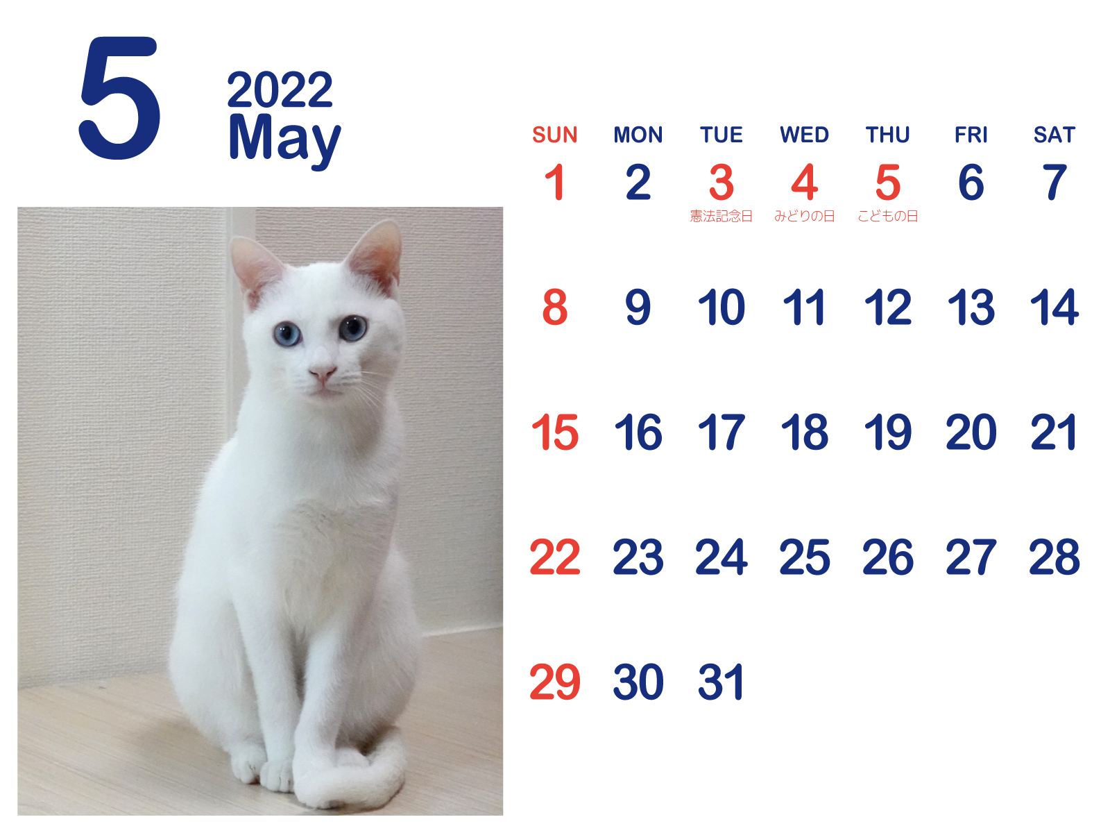 かわいくて美ニャン 白ねこ ブルーアイカレンダー 暦 22年 令和4年 まなびっと