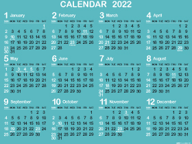1年カレンダー（2022年･令和4年）B金春色（280px）