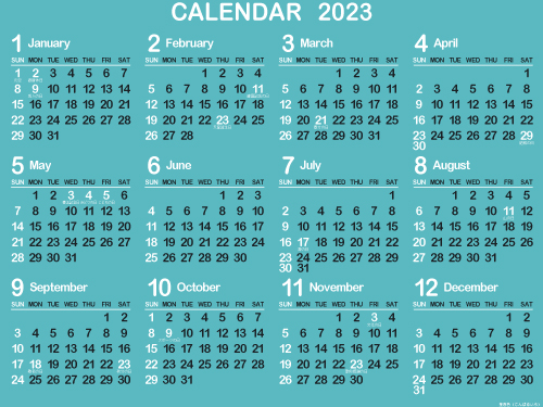 1年カレンダー（2023年･令和5年）B金春色（500px）