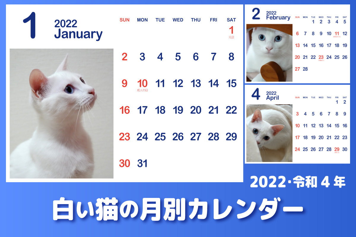 2022･令和4年白い猫のカレンダー