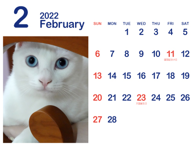 かわいい白猫カレンダー2（トリコ｜2022年2月）（400px）
