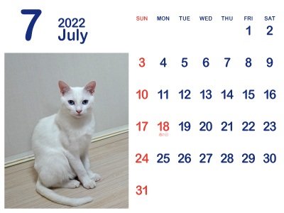 かわいい白猫カレンダー7（トリコ｜2022年7月）（400px）